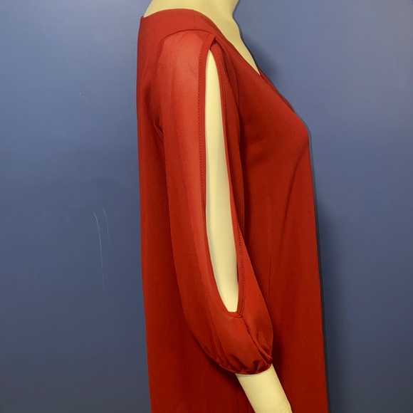 Lulus shift dress - Picture 3 of 3